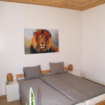 Dar Makai Surf Hotel Tamraght Bagian luar foto